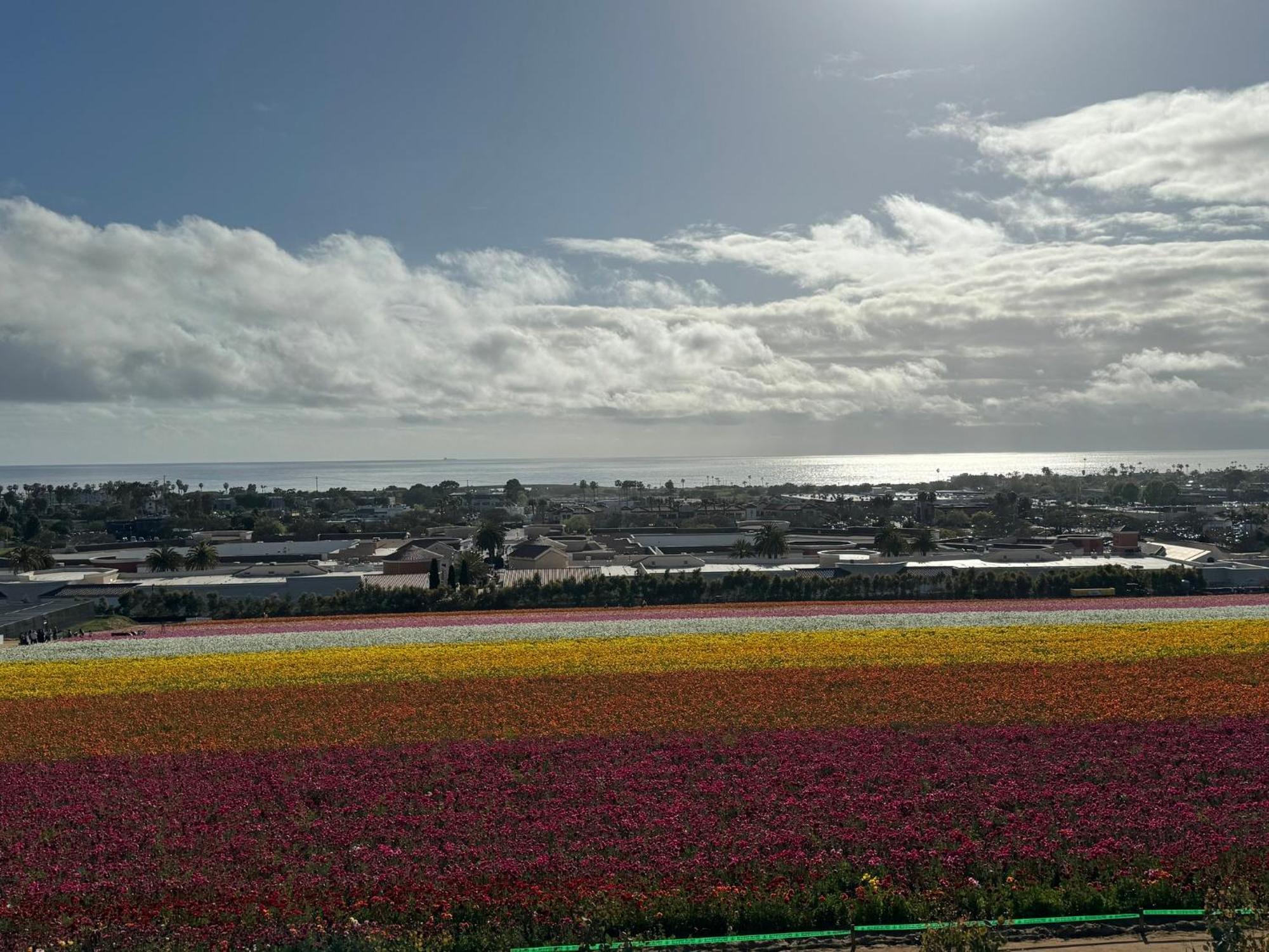 Holiday Inn Express Hotel & Suites Carlsbad Beach By Ihg Extérieur photo